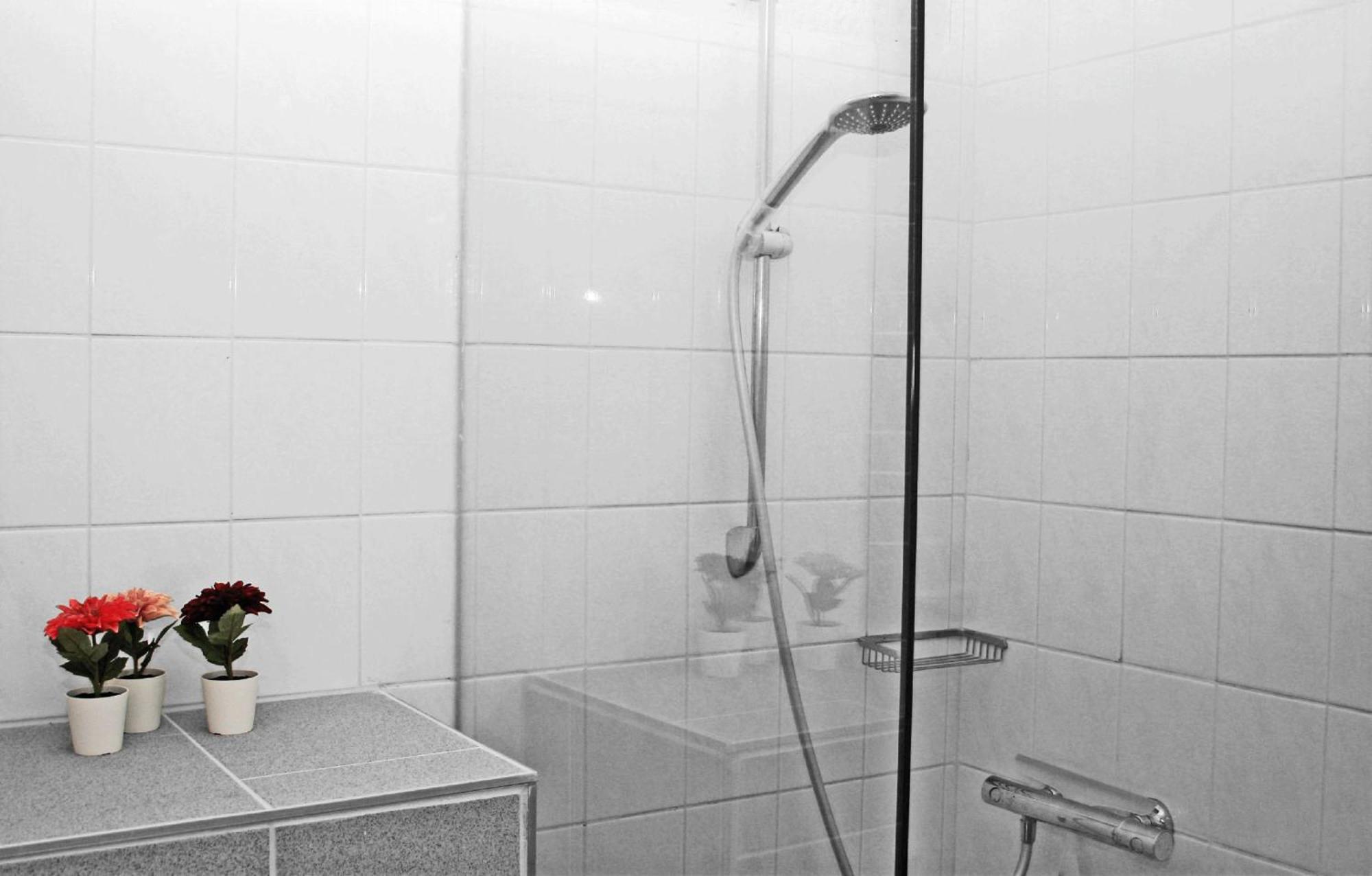 Wittem B&B En Vakantiewoningen 'T Wienhoes מראה חיצוני תמונה